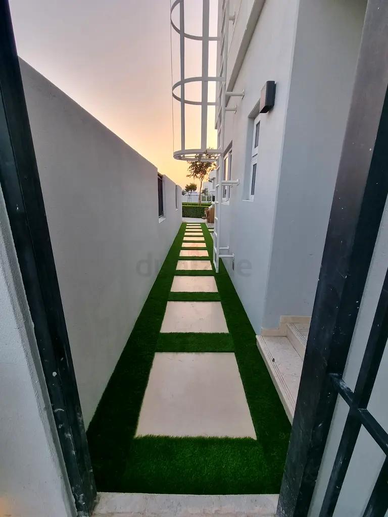 DPV_View_Image_5