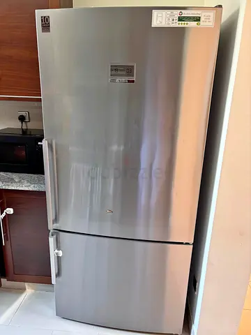 Bosch fridge bottom freezer series8 latest model