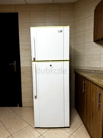 Refrigerator Freezer and Frost Free