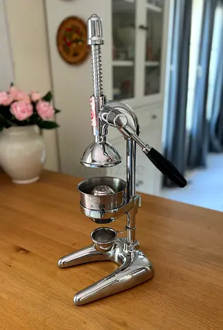 Manual professional juicer
