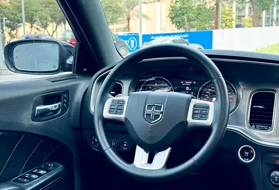 2014 Dodge CHARGER 照片 15