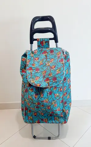Two‑wheel foldable shopping trolley