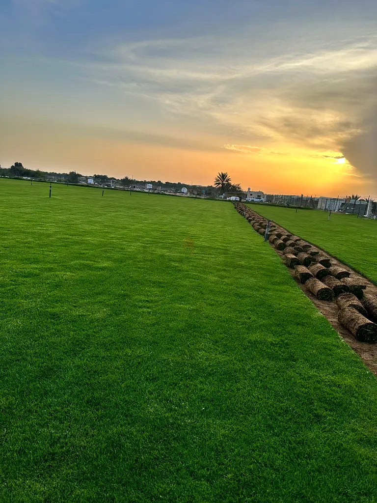 DPV_View_Image_1