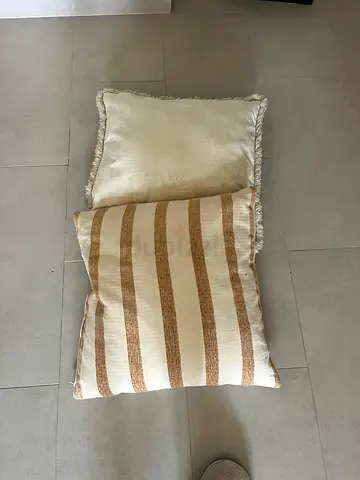 Cushion