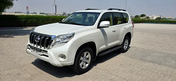 2017 Toyota PRADO 缩略图 13