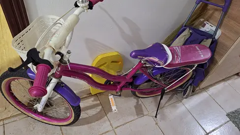 Girls 20-inch Pink Purple Bicycle with Rear Basket and Stabilizer