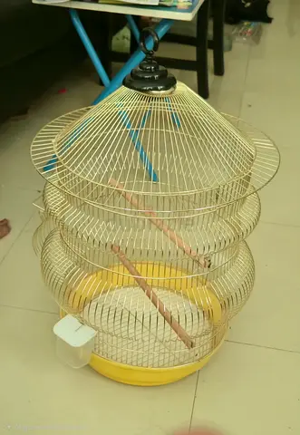 Golden Hanging Bird Cage for Parakeets, Finches Small Birds