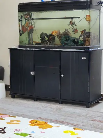 Large Home Aquarium with Stand and Decorations - Ready to Use