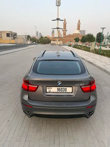 2013 BMW X6 缩略图 8