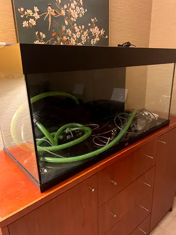 Urgent !  Juwel fish tank