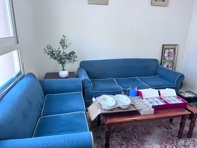 Blue Fabric Sofa Set