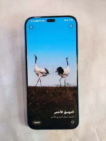 Dubai arjan