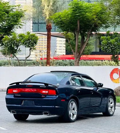 2014 Dodge CHARGER 照片 9