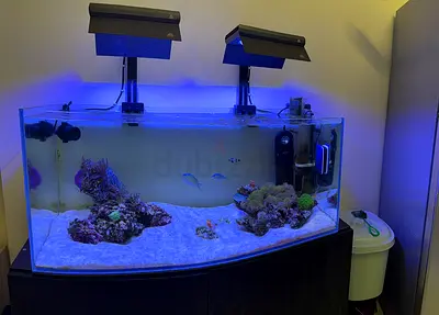 Marine Aquarium