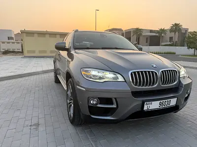 2013 BMW X6 缩略图 16