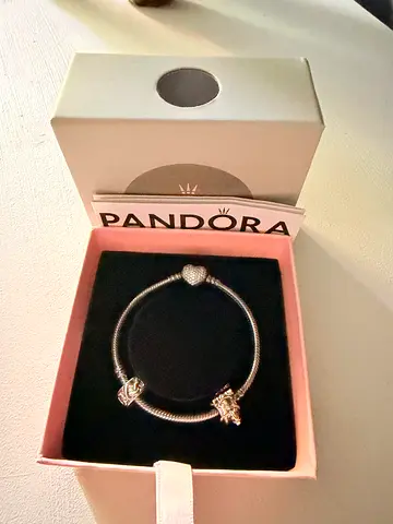 Pandora Bracelet (Brand New  Never Used)