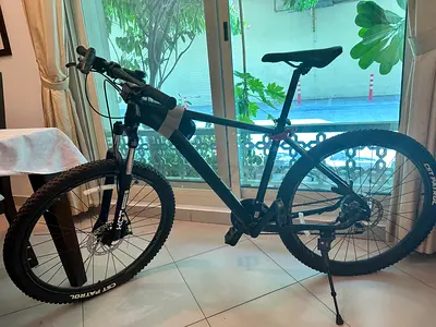 Spartan Bicycle