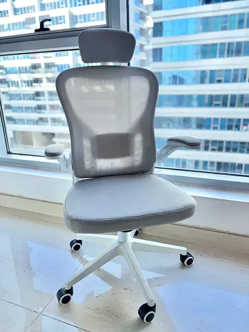 Ergonomic Mesh Office Chair with Headrest — White/Grey, pristine Condition