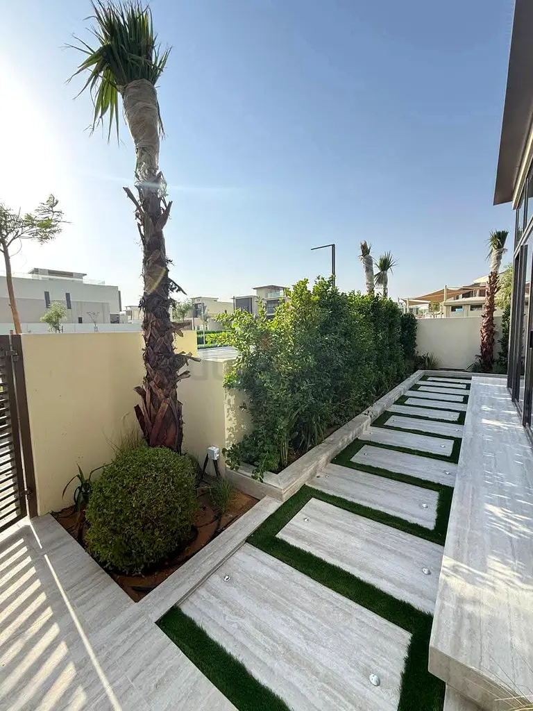 DPV_View_Image_7