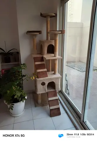 Beige multi-level cat tree with ladder and condo