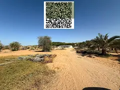 RESIDENTIAL PLOT IN AL ZAHYA IS AVAILABLE FOR SALE