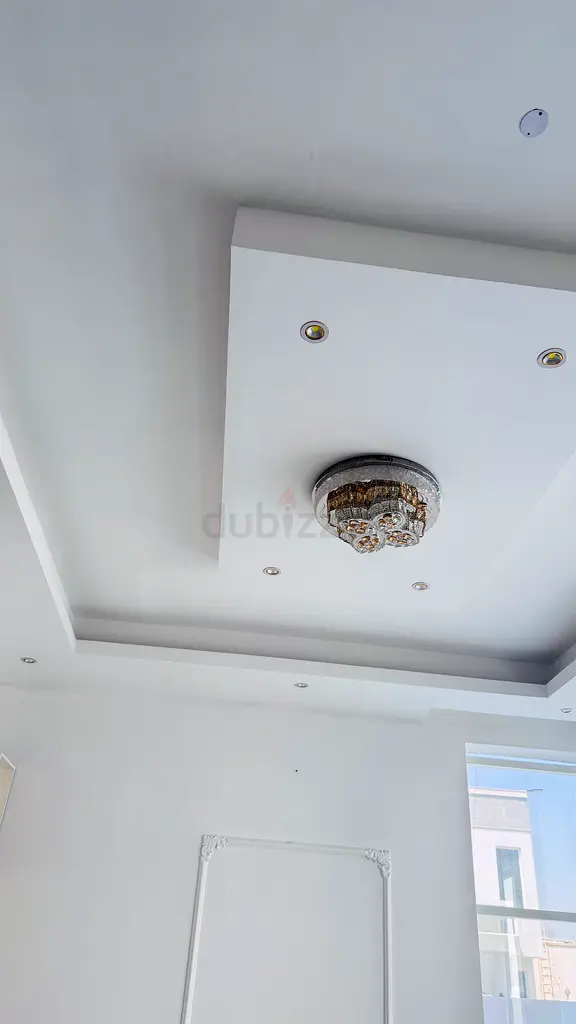 DPV_View_Image_1