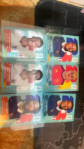 Panini stickers world cup