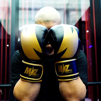 Premium Quality Boxing gloves