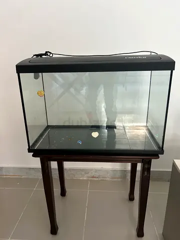 Used Glass Aquarium Tank with Hood and Light - 60cm