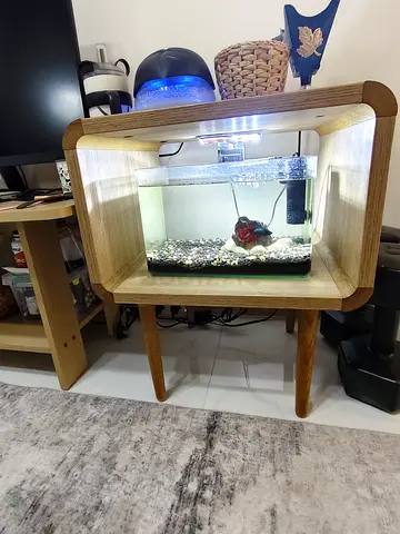Fish Tank for Sale – Complete Setup with Indonesian Betta Fish, fixed price