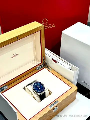 Omega watch