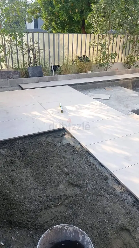 DPV_View_Image_2
