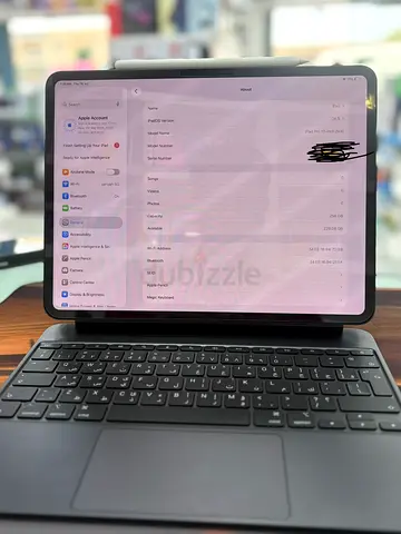 i pad pro 13 inch m4 256gb gray with original kyeboordpencil battary100%