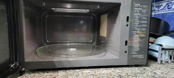LG Microwave 2025