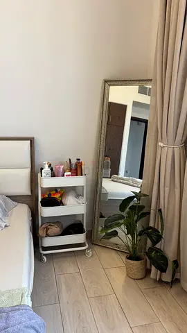 Long mirror