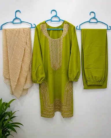 Light Green Embroidered Three-Piece Salwar Kameez Set (Includes Dupatta)