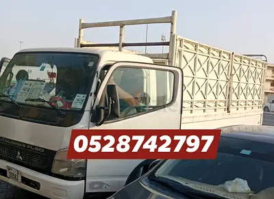 Bianca Mover truck available for shifting service Dubai