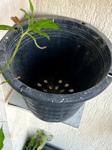Black plastic plant pot with saucer - good condition