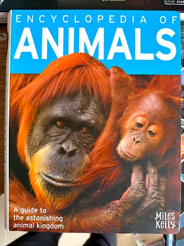 Encyclopedia of Animals - Illustrated Reference Book