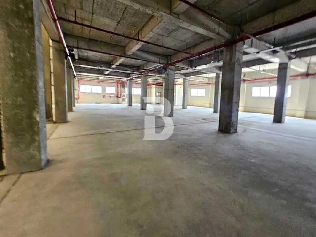 gallery-image