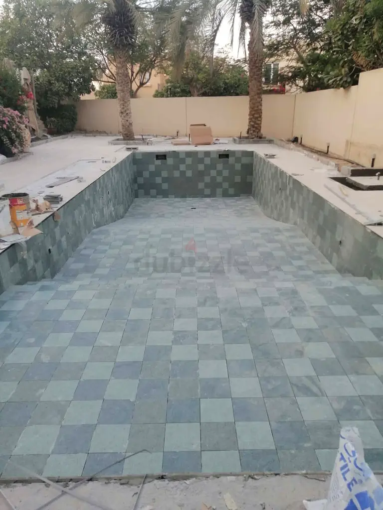 DPV_View_Image_5