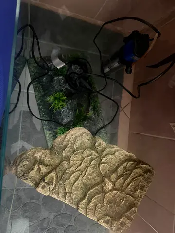 Sea turtle aquarium with lamp, filter and bridge