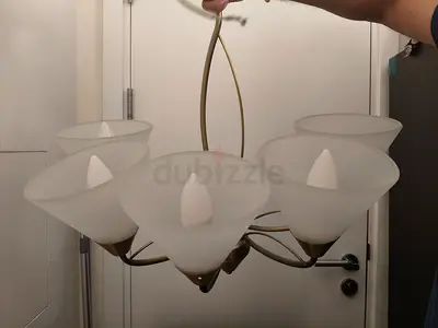 5-Arm Ceiling Chandelier Light Fixture with Frosted Glass Shades