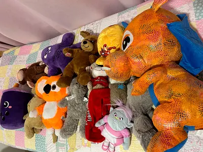 Soft Toys- Clean