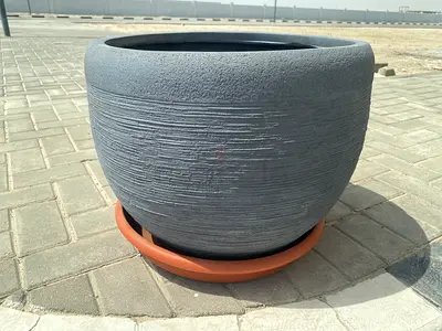 حوض شجرة