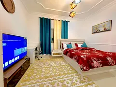 Fully furnished studio apartment