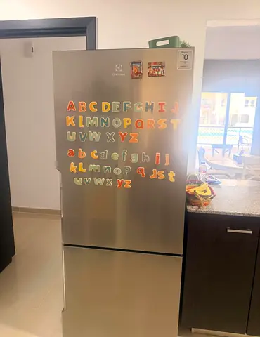 Electrolux bottom freezer refrigerator neat and clean