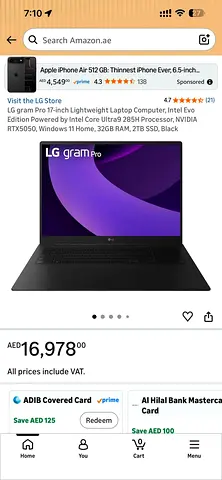 LG Gram Pro 17”