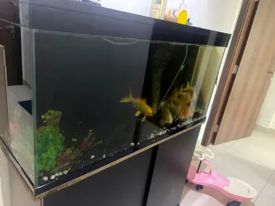 Aquarium