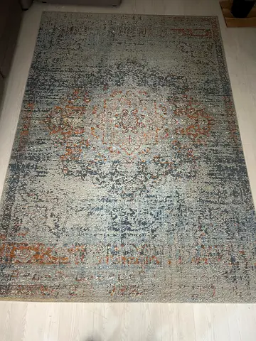 Modern Distressed Medallion Area Rug
